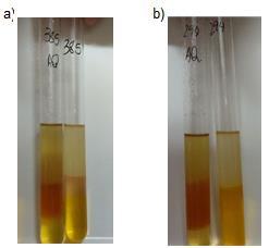 Observou-se que, antes do aquecimento não há indício da reação de kreis, ou seja, as amostras não mudaram de cor (Figura 5).