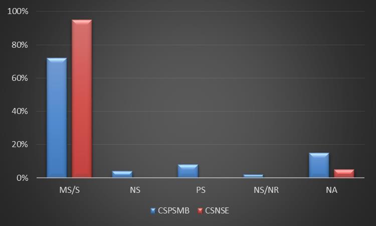 PROFISSIONAIS DE SAÚDE 94% 2% 2% 2% /NR CSE 81% 19%