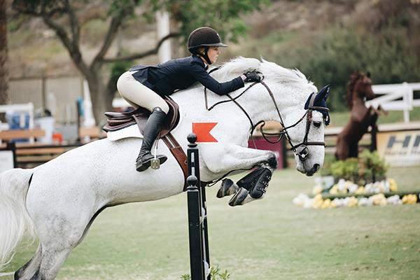 Doenças Respiratórias em Equinos O sistema respiratório dos equinos é, sem dúvidas, um dos mais importantes para a boa performance do cavalo, seja ele atleta ou não.