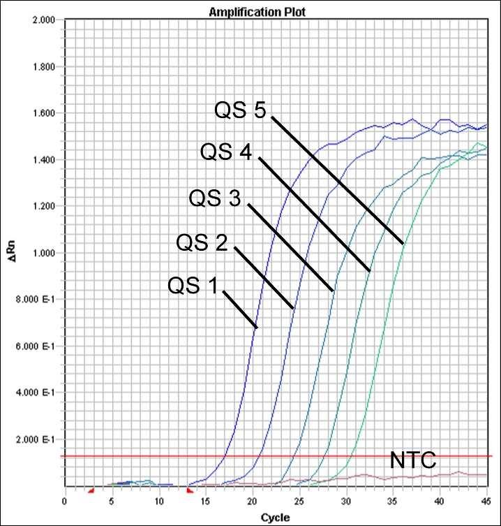 Fig. 27: Detecção dos Padrões de quantificação (Parvo B19 RG/TM QS 1-5) através da detecção de um sinal de