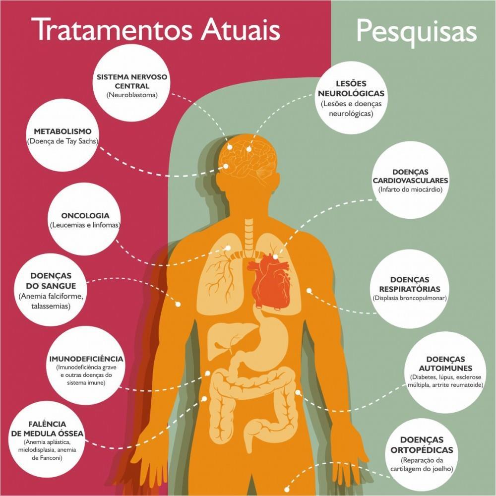 Células-tronco - Utilizadas na recuperação