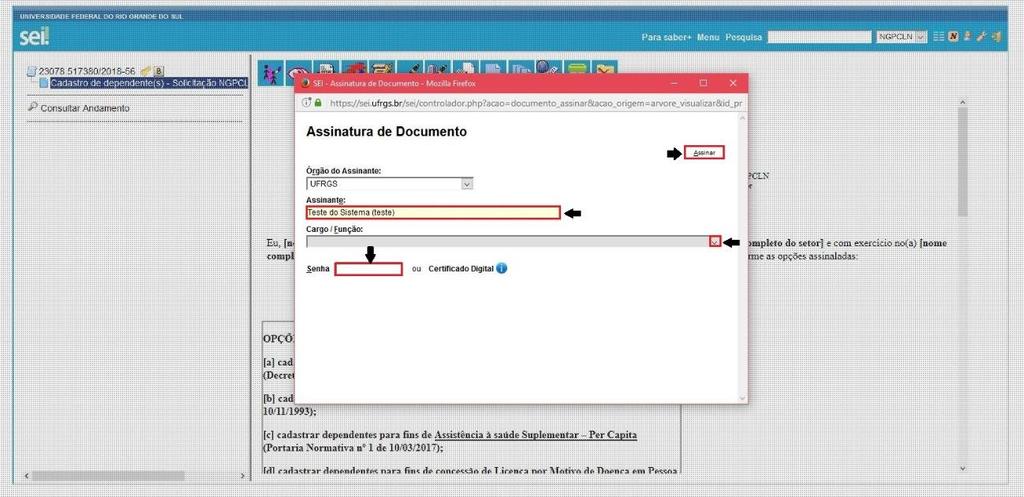 11. Abrirá uma janela para assinatura. Conferir o nome e cargo do assinante.