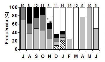 Figura 6 Variações mensais do percentual de estádios de maturação de fêmeas de Mugil curema da Baía de Sepetiba. Números acima das barras indicam o número das amostras.