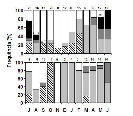 Figura 5 Variações mensais no percentual dos estádios de maturação de fêmeas (acima) e machos (embaixo) de Mugil liza da Baía de Sepetiba. Números acima das barras indicam a amostra de peixes (n).