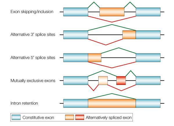 Splicing