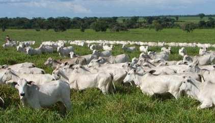 Sustentabilidade - É bem aceito o fato que as dimensões da sustentabilidade técnica, econômica, ambiental e social devem ser perseguidas; - As dimensões da sustentabilidade têm forte interdependência.