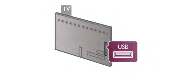 Instalação Antes de poder colocar em pausa ou gravar uma emissão, tem de ligar e formatar um disco rígido USB.