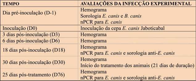 O tratamento recomendado para a erliquiose canina baseia-se no uso de antimicrobianos como a doxiciclina.