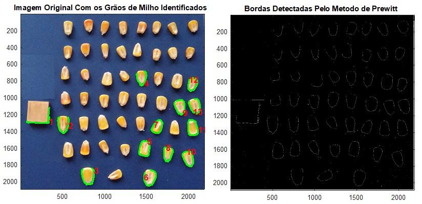 resultados foram falhos devido ao programa não conseguir identificar todos os grãos devido à pouca diferença de tonalidade do Eva com os grãos e o uso do método de Prewitt conseguiu detectar