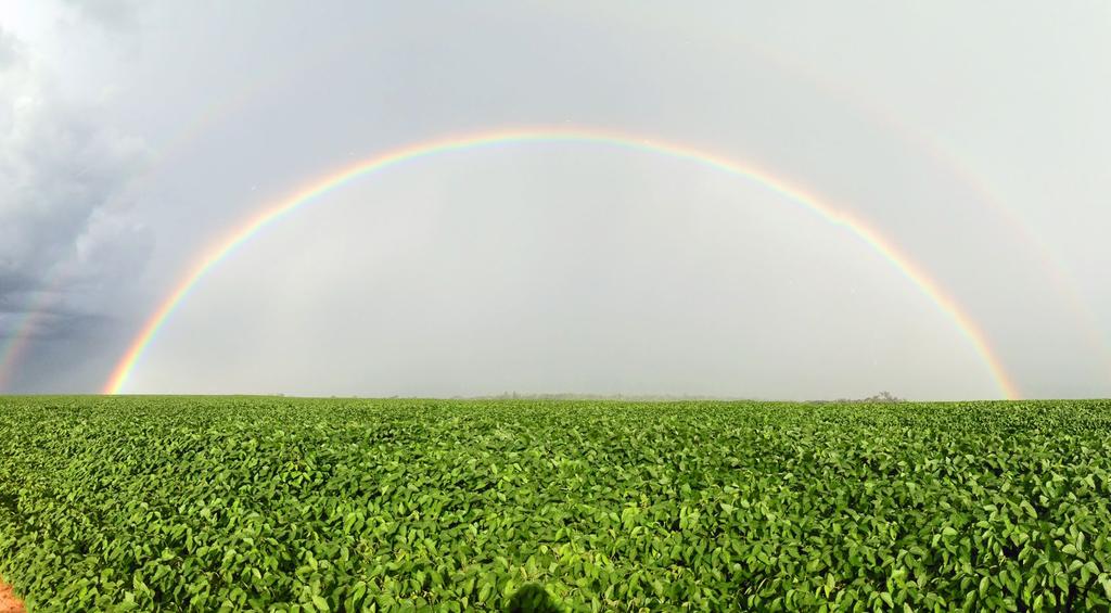 ESPAÇO DE PRÁTICAS EM SUSTENTABILIDADE LAVOURA-PECUÁRIA: GANHO DE PRODUTIVIDADE COM SUSTENTABILIDADE Com adoção de modelo de produção integrado, a