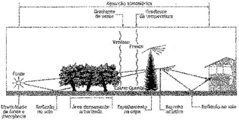 2.2 Propagação do som na atmosfera A propagação do som ao ar livre é normalmente considerada em três fases: a fonte sonora, a trajetória e o receptor.