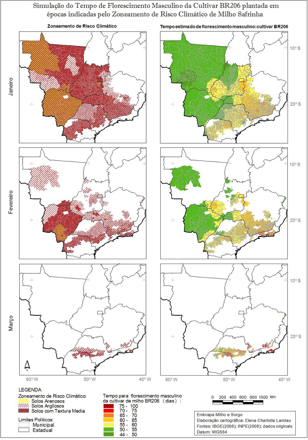 Figura 1 Simulação do tempo estimado semeadura/florescimento de milho de ciclo normal plantado