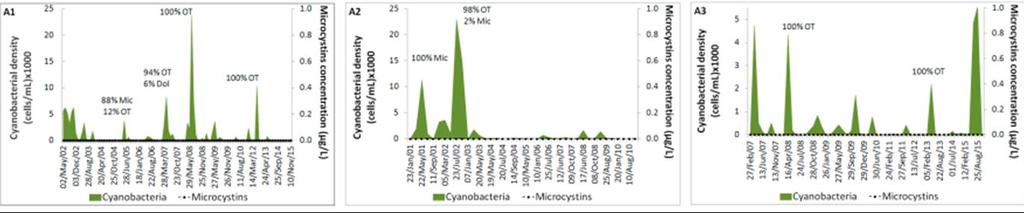 Variação de cianobactérias e microcistinas nas albufeiras Densidades cianobactérias geralmente inferior a 10.000 células/ml (pontualmente 20.