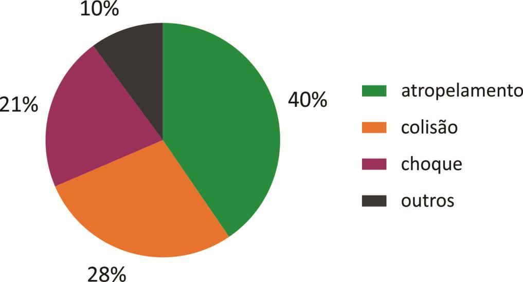 Diagnóstico da Subprefeitura de São Mateus 2015 a 2017 Tipos de ocorrências fatais na