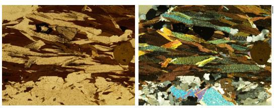 texture with augen features, with quartz, feldspar, muscovite and biotite.