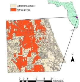 Uso de fungicidas cúpricos acúmulo de cobre no solo Flórida (EUA)