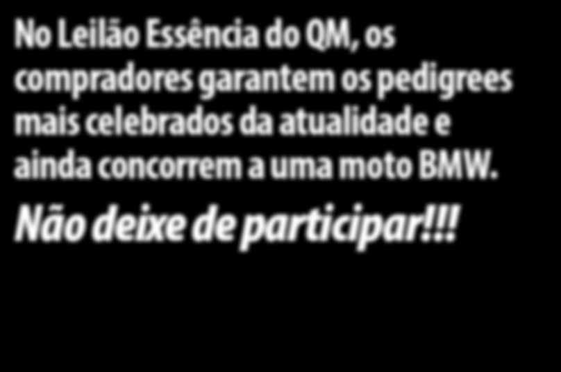 Foi construída para cidades cosmopolitas e para todos aqueles que gostam simplesmente de pilotar.