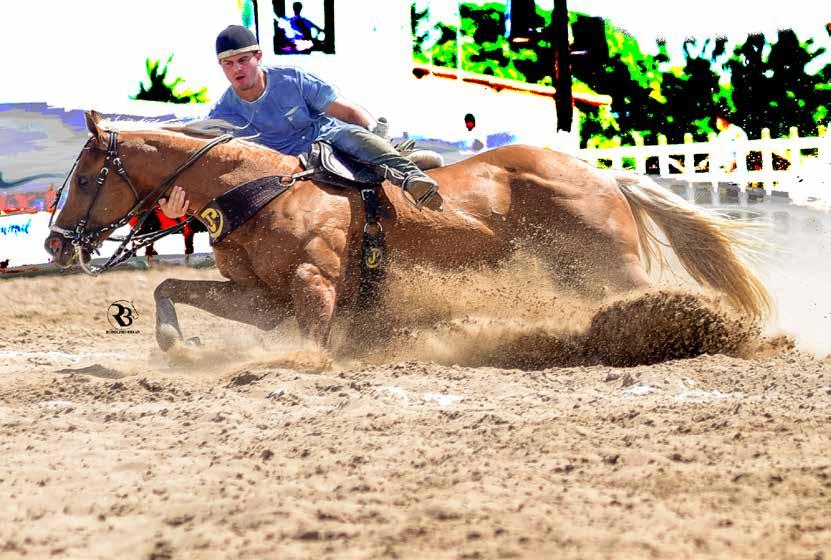 Criar cavalos da raça Quarto de Milha é uma atividade apaixonante, que oferece momentos de alegria, de união e de amizade.