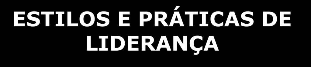 ESTILOS E PRÁTICAS DE LIDERANÇA 3ª RGD Santa