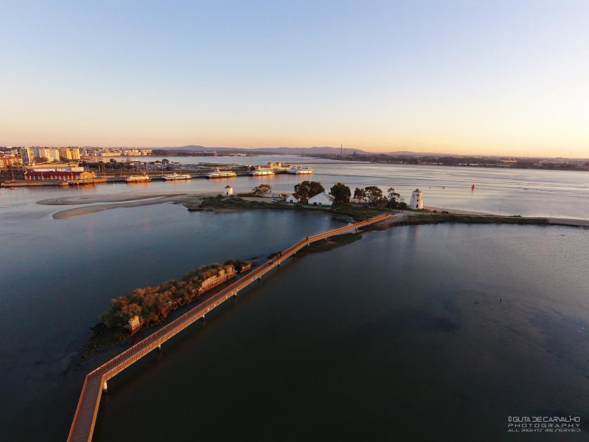 Estuário do Tejo Maior zona estuarina da europa ocidental Zona húmida de interesse global.