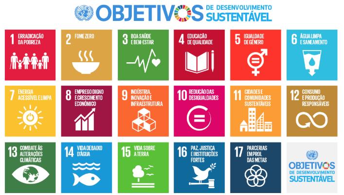Criada para colocar o mundo em um caminho mais sustentável e resiliente, a Agenda 2030 é uma Declaração composta por 17 Objetivos de Desenvolvimento Sustentável (ODS), tendo aproximadamente 169