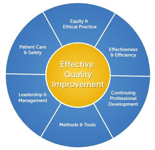 Effective Quality Improvement Competency Framework in Quality Improvement for Family Doctors in Europe Source: Czabanowska K, Klemenc-Ketis Z, Potter A, Rochfort A, Tomasik T, Csiszar J, Vanden