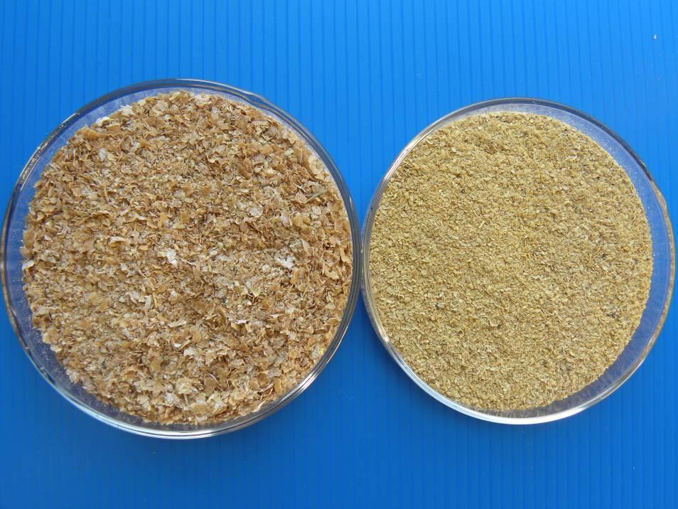 75 FIGURA 1: Substratos utilizados. (A) Farelo trigo e (B) Casca de soja. 4.2.