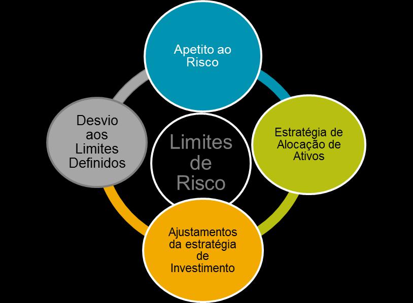 O modelo de governo relacionado com os Riscos Financeiros na está claramente definido e pode ser resumido da seguinte forma: O Conselho de Administração da fornece a aprovação final da Estratégia de