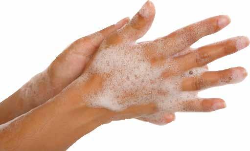 Higiene das mãos A higienização adequada das mãos é fundamental para prevenir infecções hospitalares, que são