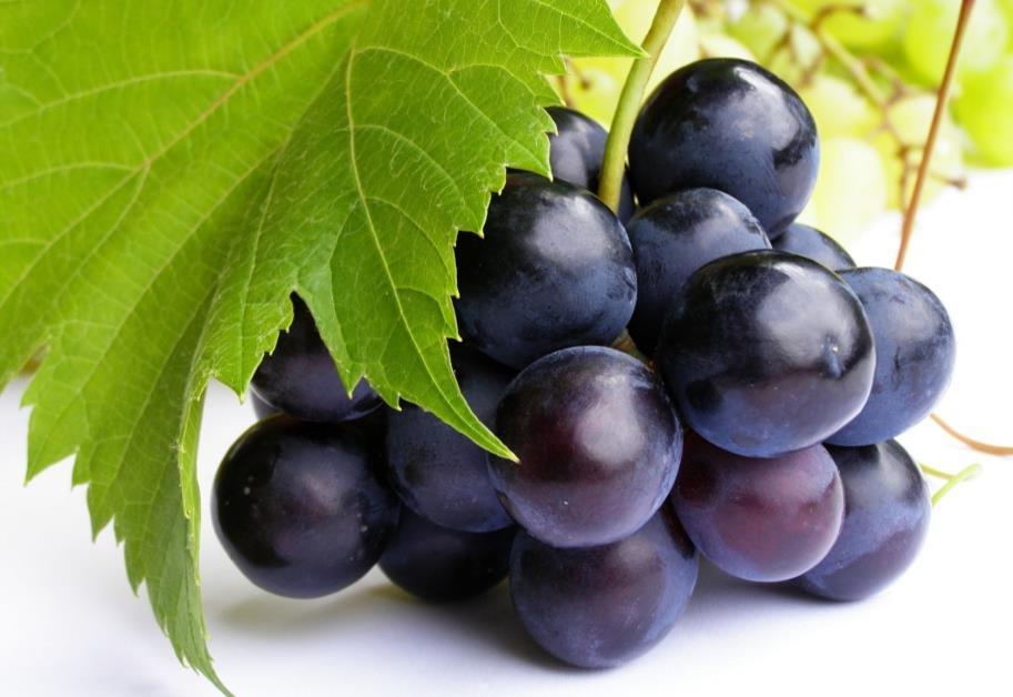 r i Atualização em Nutracêuticos Disponibilizado por: Resveratrol no diabetes Adjunto