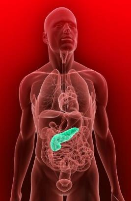 Polifenóis: como estes fitoquímicos agem no organismo possuindo múltiplos benefícios no diabetes tipo II (DTII) 5.