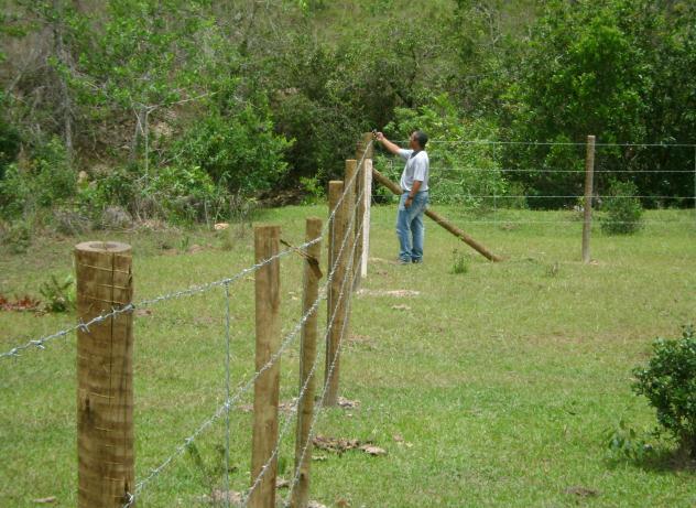 Serão apresentados resultados de trabalhos de recuperação e contenção em uma voçoroca situada em uma propriedade rural do município de Taquaraçu de Minas.