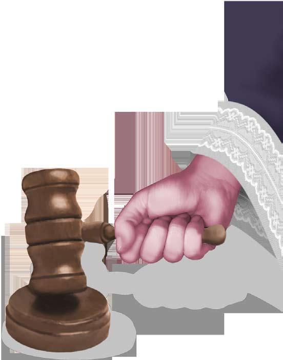 O papel do perito contador na solução de litígios judiciais um estudo nas varas cíveis de Maceió-AL 1.