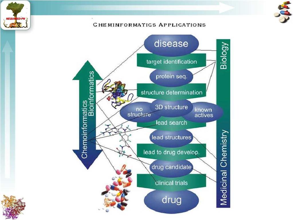 Quiminformática Gerenciamento, manipulação e otimização das propriedades úteis no processo de descoberta e desenvolvimento de novos fármacos Coletânea de dados químicos, análise e gerenciamento