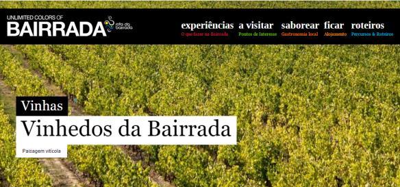 the Bairrada Wine Route.