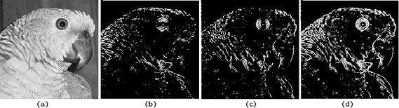 2.2 Conceitos básicos de processamento de imagens digitais 18 Figura 2.16: Efeito da aplicação do operador de Sobel.