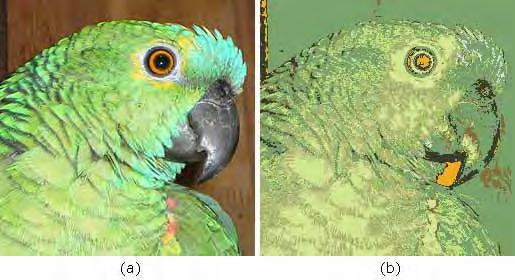 2.2 Conceitos básicos de processamento de imagens digitais 31 Figura 2.27: Resultado da aplicação do método de quantização de cores. Em (a) a imagem original com 55.