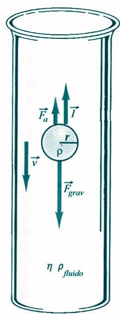 Complementos de Fluidos As expressões anteriores relacionam se com a circulação de fluidos, no entanto, um outro ponto de interesse se coloca: quando o fluido é viscoso, também um objecto que se