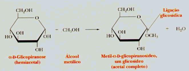 Propriedades dos monossacarídeos Formação de glicosídeos Um açúcar com um grupo OH ligado a