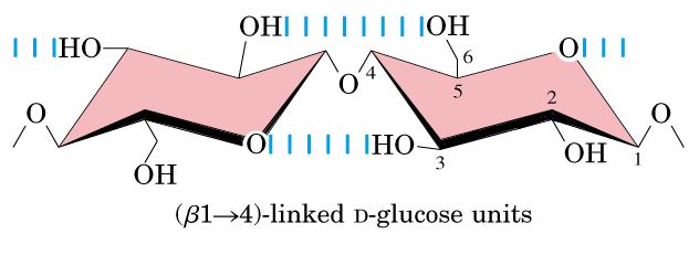 Celulose