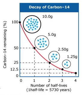 Gráfico 2: Concentração de carbono 14 ao longo dos anos na matéria orgânica morta 3.