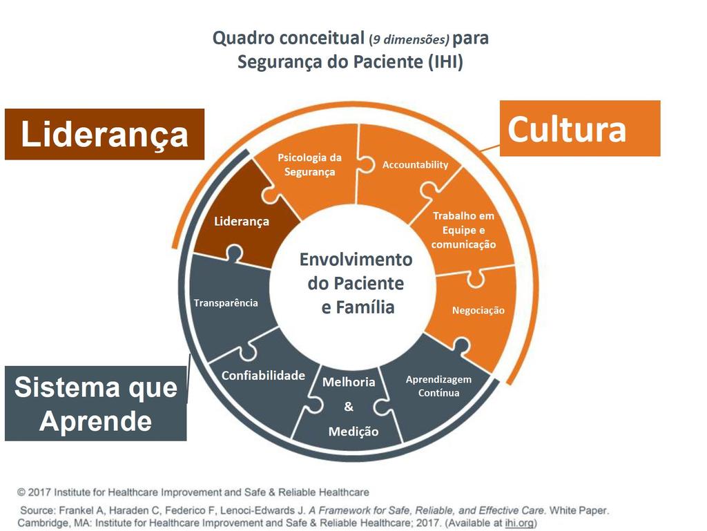 Estrutura para uma assistência segura, confiável e eficaz Composto por dois domínios