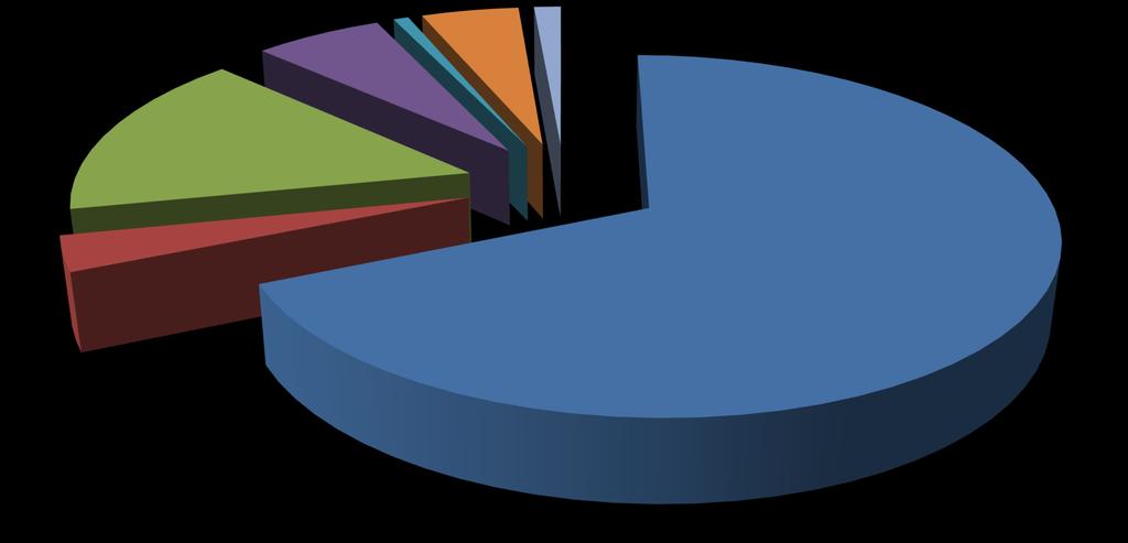 Mectron 6% AEL 16% EMPRESAS BENEFICIÁRIAS Akaer 1% CENÁRIO