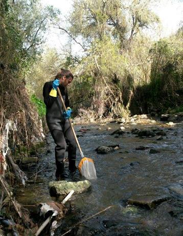 (A) - Amostragem em habitats inorgânicos e (B) Processo de recolha dos organismos e seu acondicionamento.