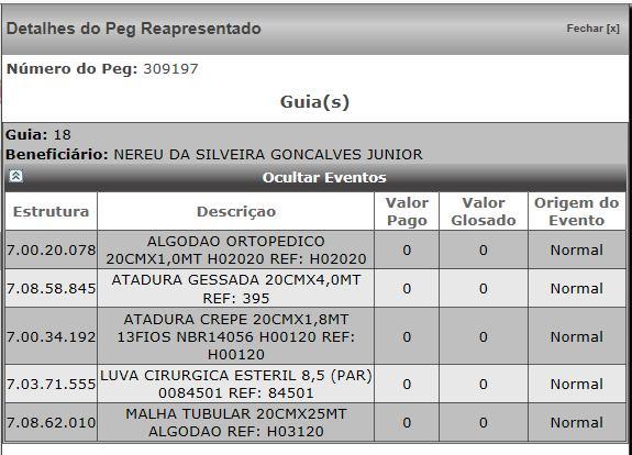 5.1. CONSULTA PEGS REAPRESENTADOS Por meio dessa funcionalidade é possível visualizar a situação dos Protocolos que foram reapresentados.