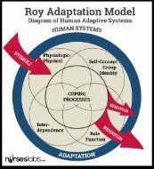 Callista Roy1976 Teoria da Adaptação 4 Modos Adaptativos da pessoa: Fisiológicos, Auto-Contexto, Funçãodo Papel e Interdependência.