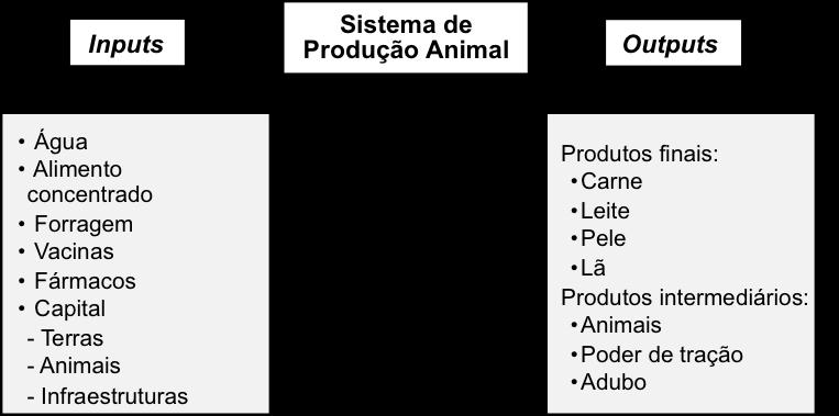 Os animais de produção são meios de transformação de inputs ou recursos, como alimento, trabalho ou fármacos, em outputs ou saídas, como o leite, a carne, a força de tração, adubo, lã ou mesmo outros