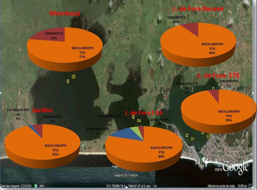Distribuição da Comunidade Fitoplanctônica na Lagoa