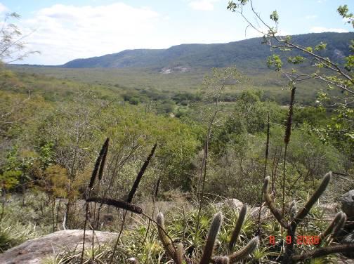 Foto 74: O vale do rio Ipanema vista a partir da