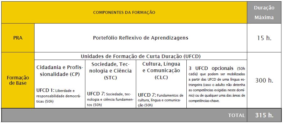 habilitações mínimas de 11.º ano de escolaridade.